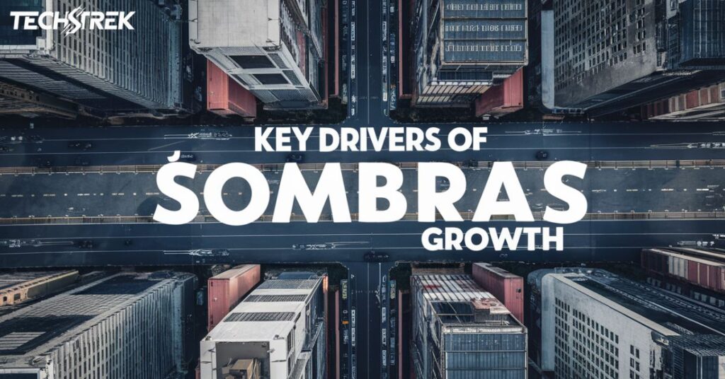 Key Drivers of Sombras Growth