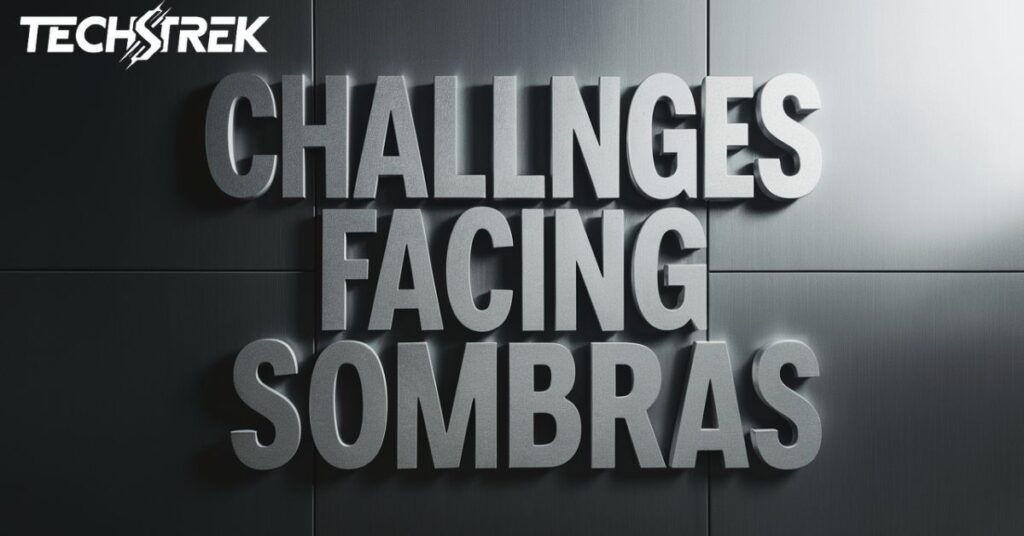 Challenges Facing Sombras